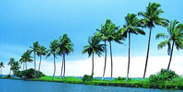 kochi travels