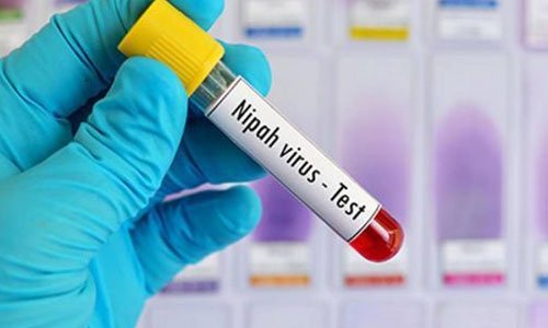 Kerala Nipah Virus Latest News