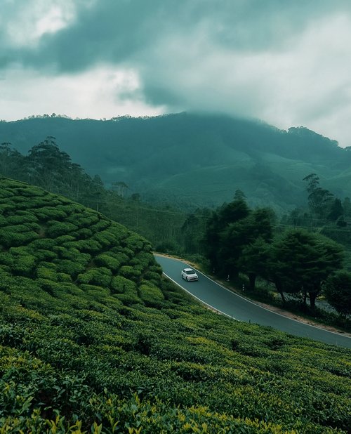 kochi taxi taxi service from Kochi to Munnar